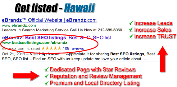 Hawaii SEO